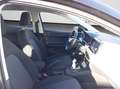 SEAT Ibiza 1.0 TSI Style Edition Winterpaket Full Lin Schwarz - thumbnail 4