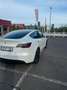Tesla Model Y Long Rang Dual Motor AWD 1.Hd Mwst Weiß - thumbnail 4