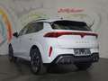 CUPRA Terramar 1,5 eTSI Cupra DSG *LED, NAVI, ACC, TEILLEDER* Weiß - thumbnail 5