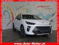 CUPRA Terramar 1,5 eTSI Cupra DSG *LED, NAVI, ACC, TEILLEDER* Weiß - thumbnail 1