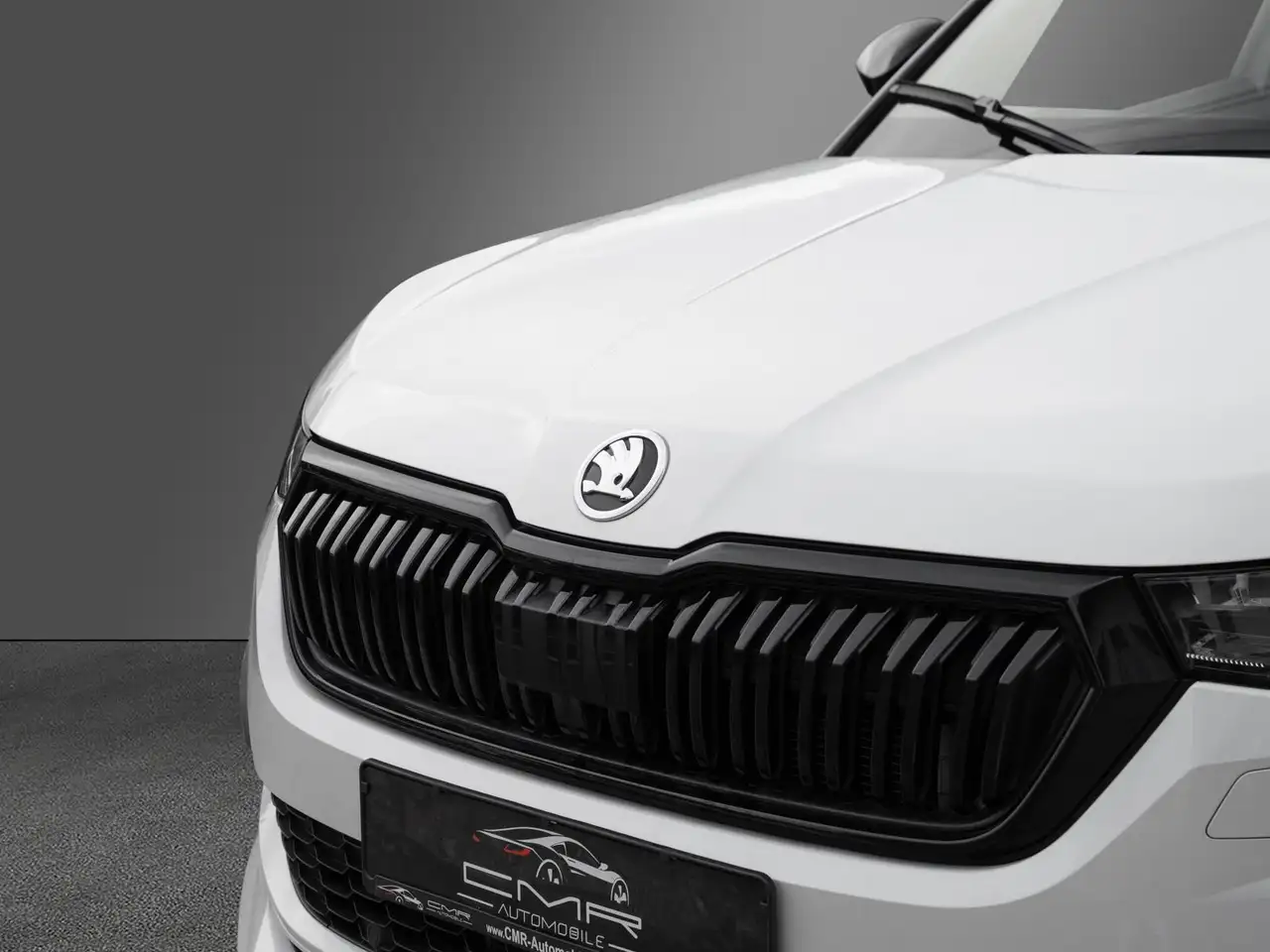 Skoda Kodiaq Sportline AHK PANO DCC Amundsen Traveller, миниатюра 10