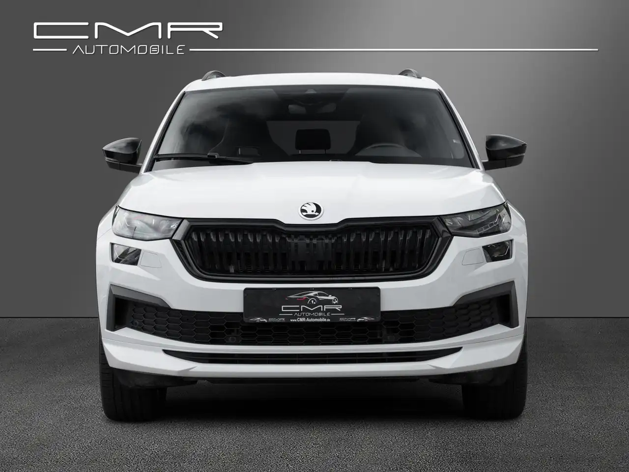 Skoda Kodiaq Sportline AHK PANO DCC Amundsen Traveller, миниатюра 2