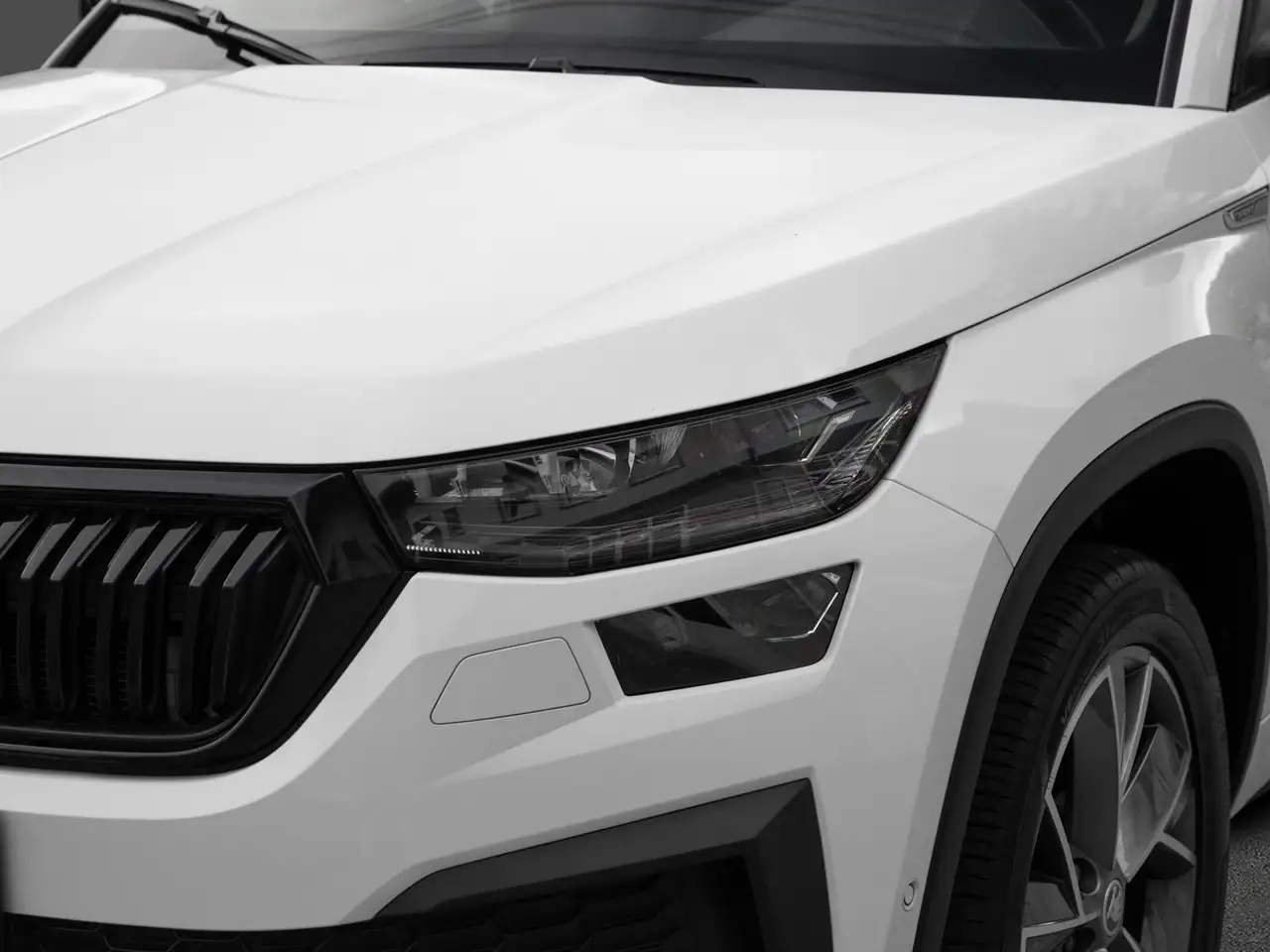 Skoda Kodiaq Sportline AHK PANO DCC Amundsen Traveller, миниатюра 9