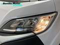 Citroen Jumper 2.2 BLUEHDI 103KW 35 L3H2 140 4P ISOTERMO Blanco - thumbnail 15
