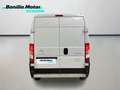 Citroen Jumper 2.2 BLUEHDI 103KW 35 L3H2 140 4P ISOTERMO Blanco - thumbnail 25