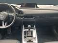 Mazda CX-30 Homura HUD Navi LED ACC El. Heckklappe Apple CarPl Azul - thumbnail 15