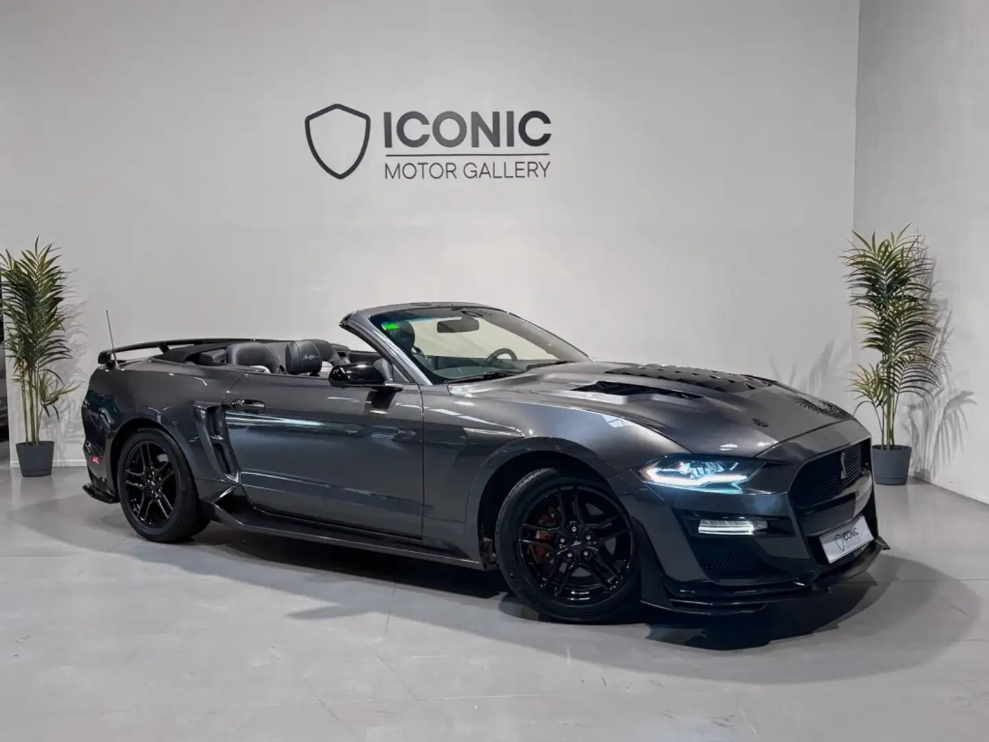 Ford Mustang Convertible 2.3 EcoBoost Aut. Gris - 1