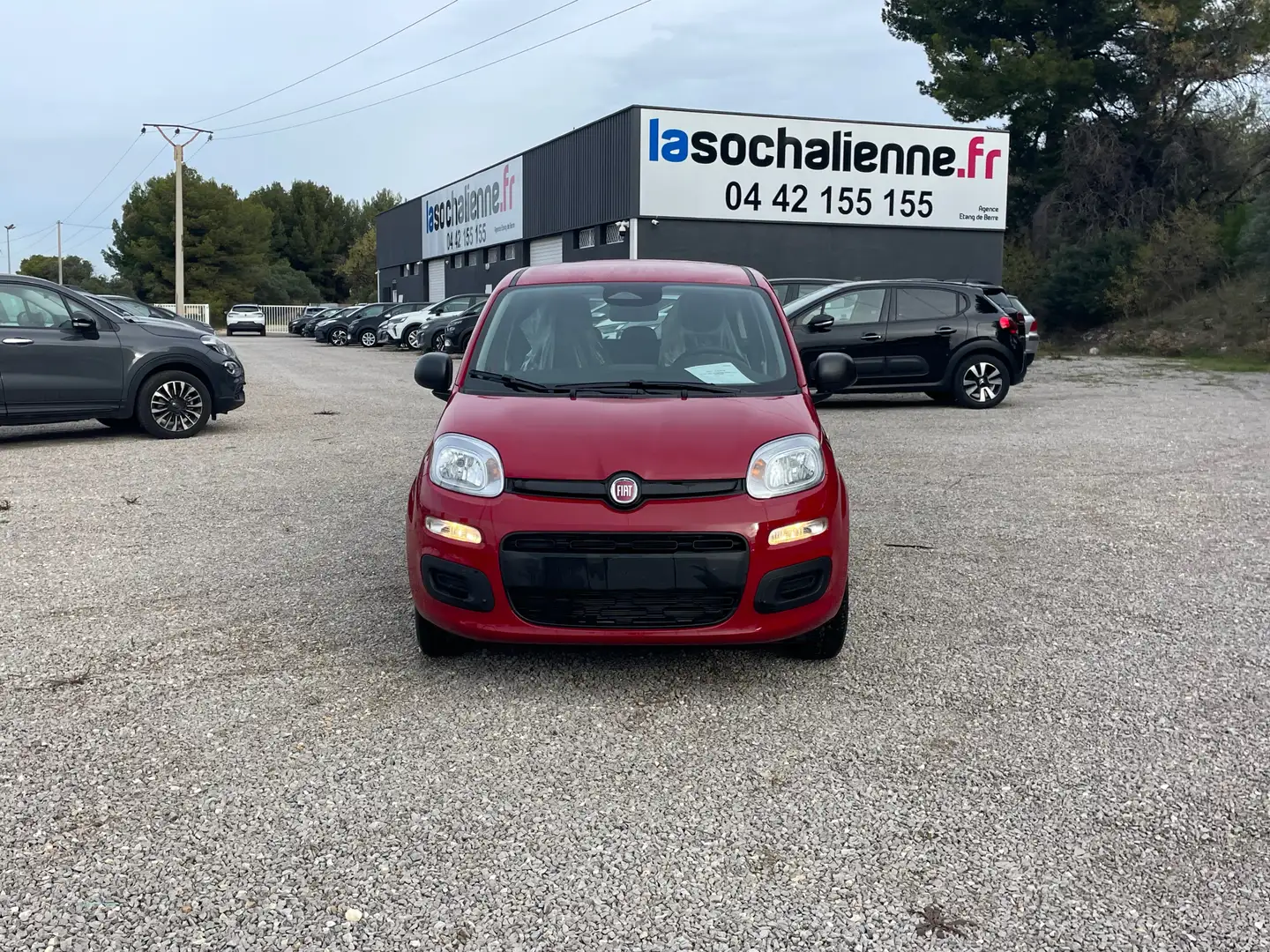 Fiat Panda 1.0 70 ch Hybrid BSG S/S Icone + kit anti-crevaison + peinture métallisée Rouge - 2
