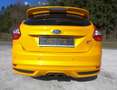 Ford Focus ST 2,0 EcoBoost Gelb - thumbnail 4