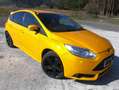 Ford Focus ST 2,0 EcoBoost Gelb - thumbnail 6