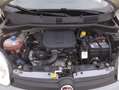 Fiat Panda Hybrid Easy 1.0 Mild Hybrid 69CV Gris - thumbnail 13