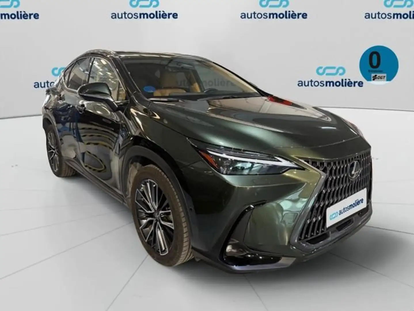 Lexus NX 350h Executive 4WD Groen - 2