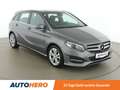 Mercedes-Benz B 200 B 200 CDI 4Matic Urban Grau - thumbnail 8
