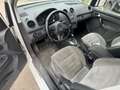 Volkswagen Caddy Kasten/Kombi Edition30 Weiß - thumbnail 9
