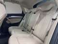 Audi Q5 Sportback 40 TDI quattro S-line S-tronic*MASSAGE* Grau - thumbnail 19