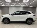 Volkswagen Tiguan 2.0 TDI Life GOAL Design-Paket 360° AHK Weiß - thumbnail 3