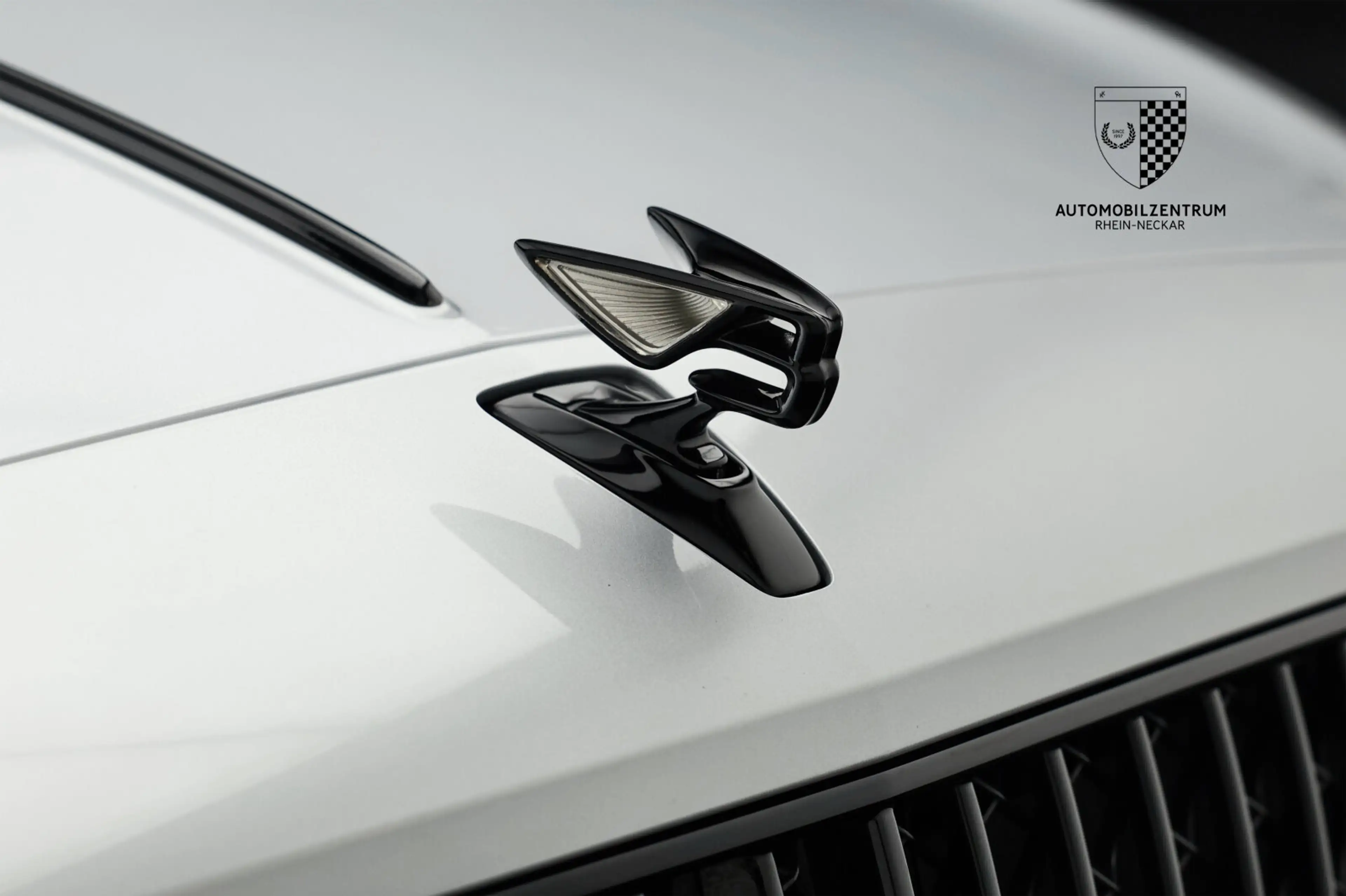 Bentley Flying Spur Flying Spur W12 Mansory First Edition/Touring — photo 10