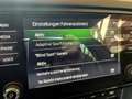 Skoda Octavia Combi RS 2,0 TDI DSG - thumbnail 9