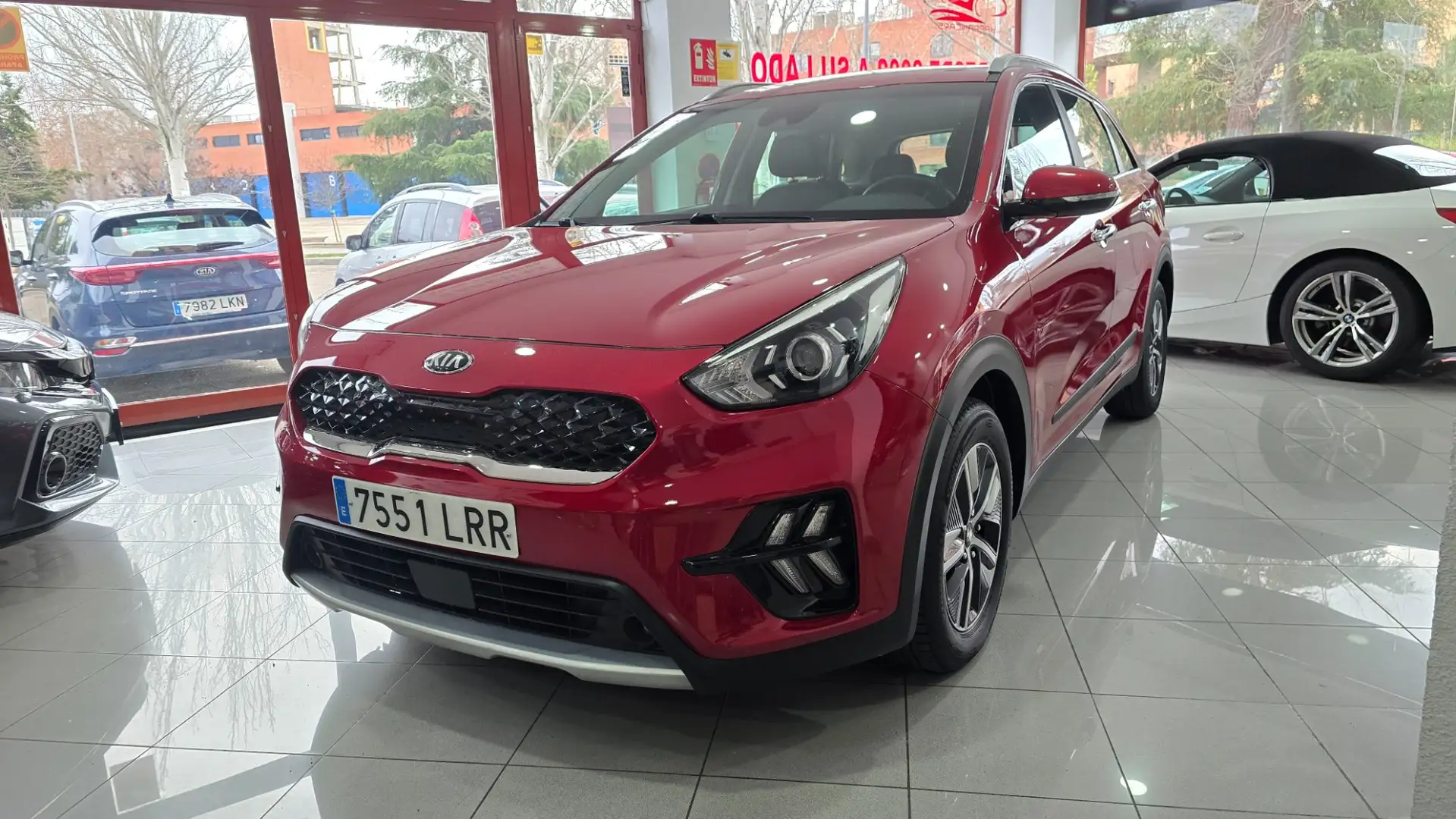 Kia Niro 1.6 HEV Drive Rojo - 2