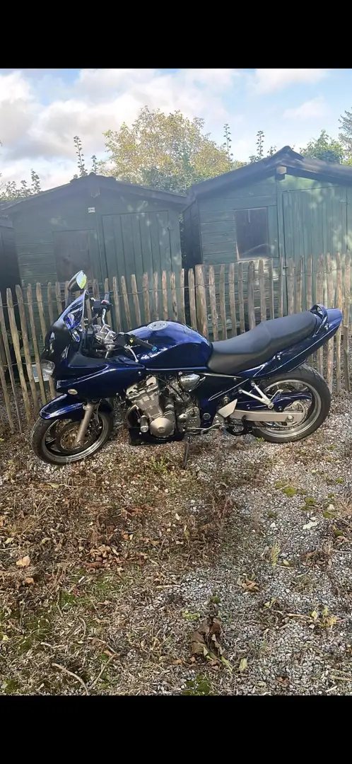 Suzuki Bandit 600 Bleu - 2