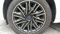 Lancia Ypsilon 1.0 FireFly 5 porte S&S Hybrid Ecochic Gold Bianco - thumbnail 13