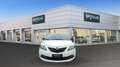 Lancia Ypsilon 1.0 FireFly 5 porte S&S Hybrid Ecochic Gold Bianco - thumbnail 2