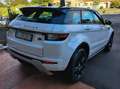 Land Rover Range Rover Evoque Dynamic AWD 150CV Aut. Pronta Consegna Blanc - thumbnail 4