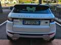 Land Rover Range Rover Evoque Dynamic AWD 150CV Aut. Pronta Consegna Blanc - thumbnail 6