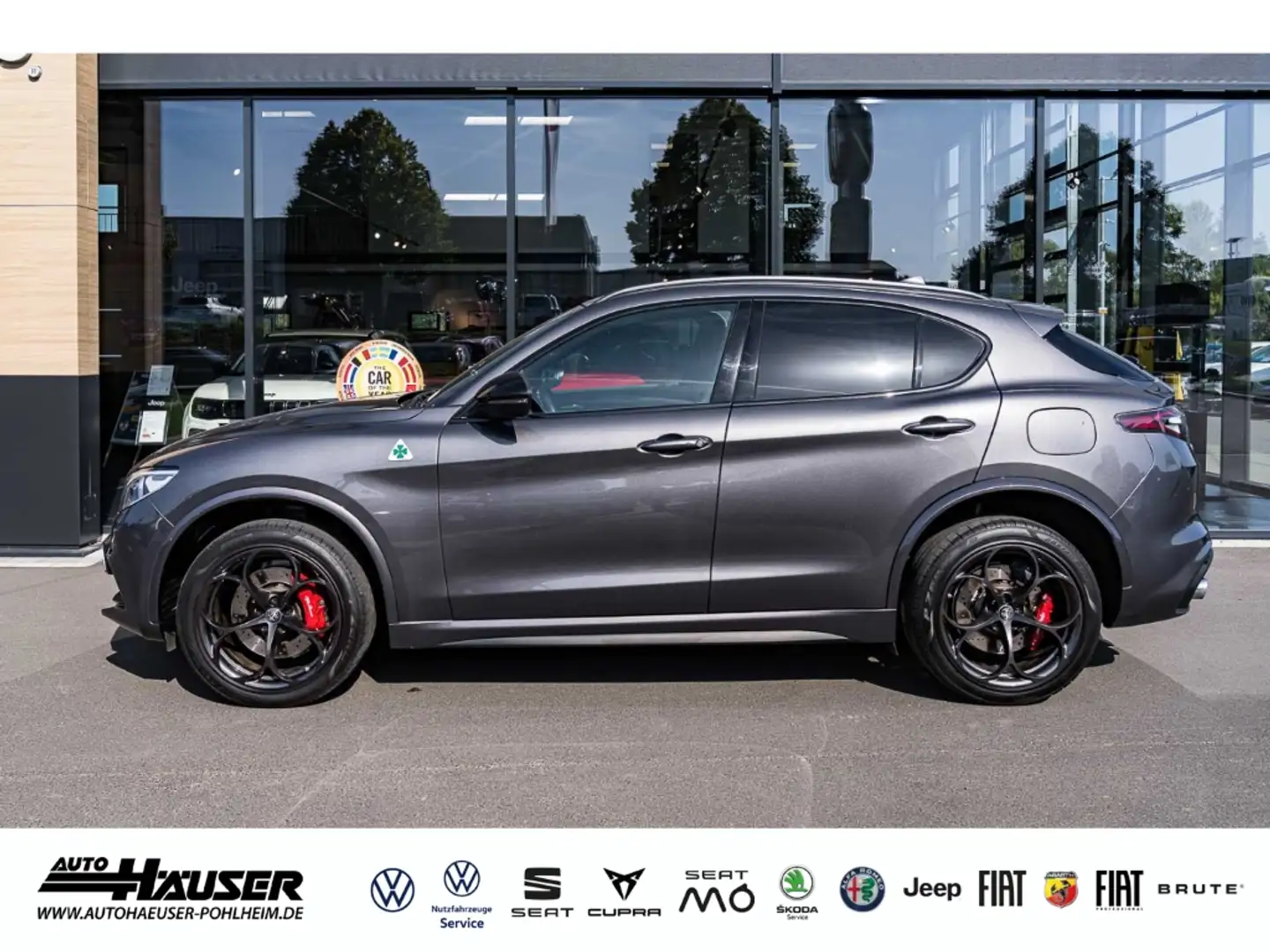 Alfa Romeo Stelvio Quadrifoglio Q4 2.9 V6 Bi-Turbo HARMANN-KARDON ASS Сірий - 2