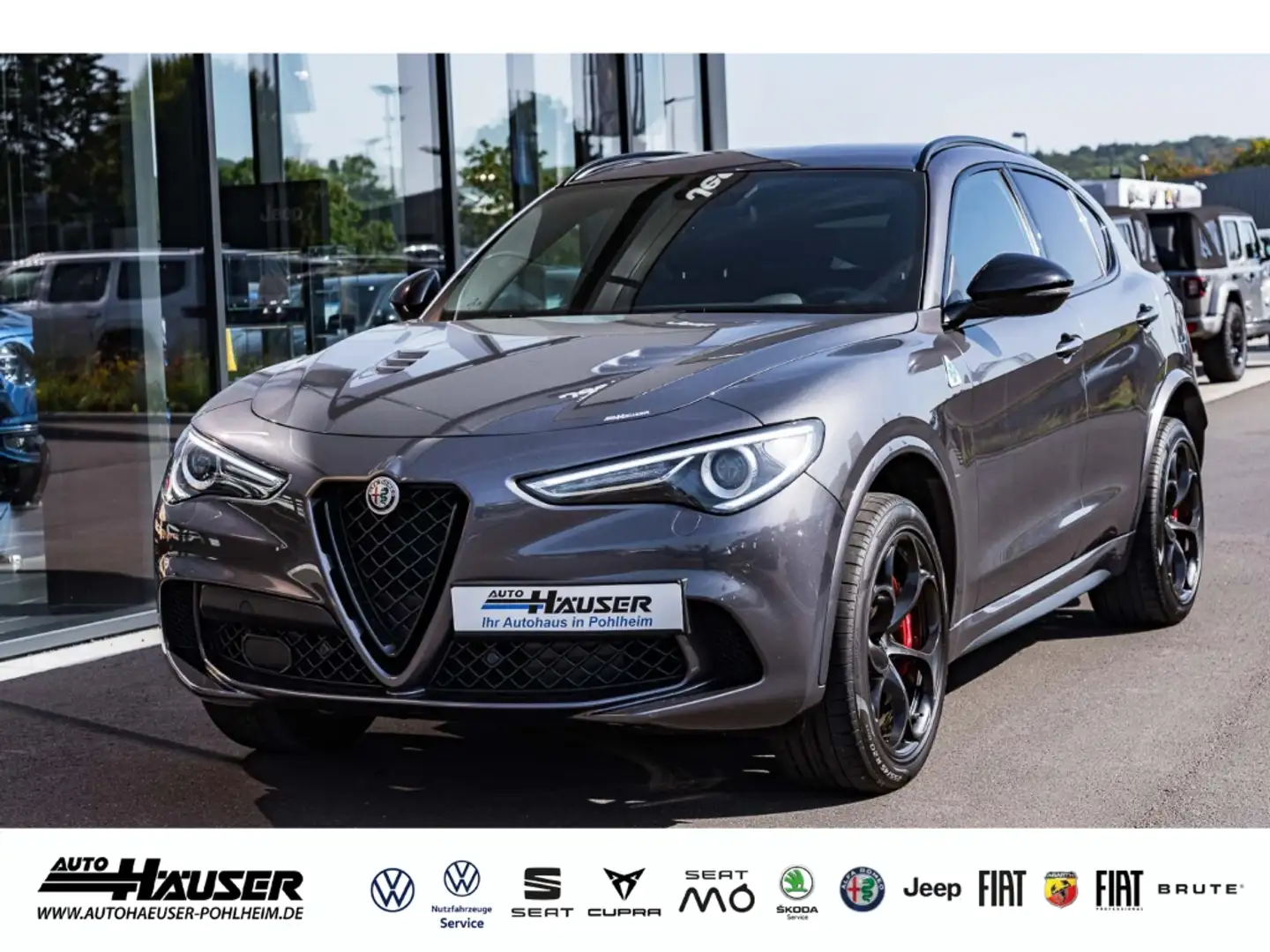 Alfa Romeo Stelvio Quadrifoglio Q4 2.9 V6 Bi-Turbo HARMANN-KARDON ASS Сірий - 1