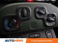 Fiat Panda 1.3 M-Jet 95 CV 4x4 Verde - thumbnail 22