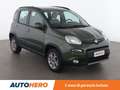 Fiat Panda 1.3 M-Jet 95 CV 4x4 Verde - thumbnail 8