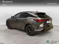 Lexus RX 500h F SPORT Grau - thumbnail 2
