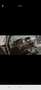 BMW 216 216d Gran Tourer Advantage Aut. - thumbnail 4