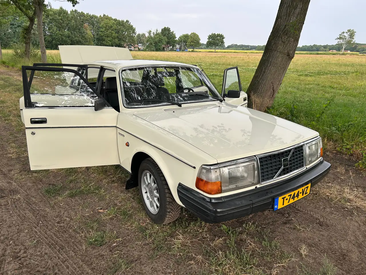 Volvo 244 DL, foto 3
