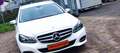 Mercedes-Benz E 300 E 300 BlueTec (212.227) Automatik EURO 6 Weiß - thumbnail 1