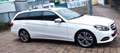 Mercedes-Benz E 300 E 300 BlueTec (212.227) Automatik EURO 6 Weiß - thumbnail 6