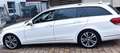 Mercedes-Benz E 300 E 300 BlueTec (212.227) Automatik EURO 6 Weiß - thumbnail 7