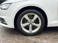 Audi A4 Avant 35 TDI sport S-tronic+Navi+Apple CarPlay+LED Weiß - thumbnail 10