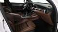 Alfa Romeo Stelvio 2.2 Executive Q4 210 Aut. Blanc - thumbnail 34