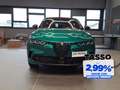 Alfa Romeo Tonale 1.5 hybrid tributo italiano 160cv tct7 Verde - thumbnail 6