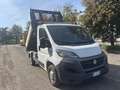 Fiat Ducato Ribaltabile trilaterale Blanc - thumbnail 10