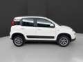 Fiat Panda 0.9 TwinAir turbo 4x4 s&s 85cv White - thumbnail 4