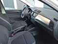 Skoda Fabia Fabia III 2015 Berlina 1.0 tsi Business 95cv my19 Bianco - thumbnail 8