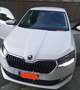 Skoda Fabia Fabia III 2015 Berlina 1.0 tsi Business 95cv my19 Bianco - thumbnail 1