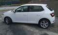 Skoda Fabia Fabia III 2015 Berlina 1.0 tsi Business 95cv my19 Bianco - thumbnail 6