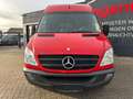Mercedes-Benz Sprinter II Kasten 519 CDI AUTOMATIK KAMERA AHK Rouge - thumbnail 15