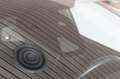 Ford Fiesta 1.0 Ecoboost 100 CV 5 porte Titanium Gris - thumbnail 39