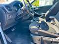 Ford Focus Focus SW 1.0t ecoboost h ST-Line 155cv powershift Zilver - thumbnail 16