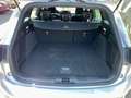 Ford Focus Focus SW 1.0t ecoboost h ST-Line 155cv powershift Zilver - thumbnail 19